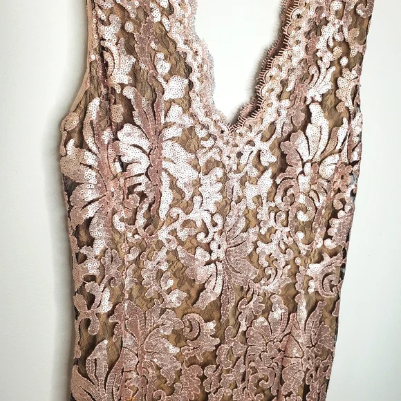 27) TADASHI SHOJI Sequin Champagne V-Neck Sleeveless Cocktail Sz. 12 - Picture 2 of 10